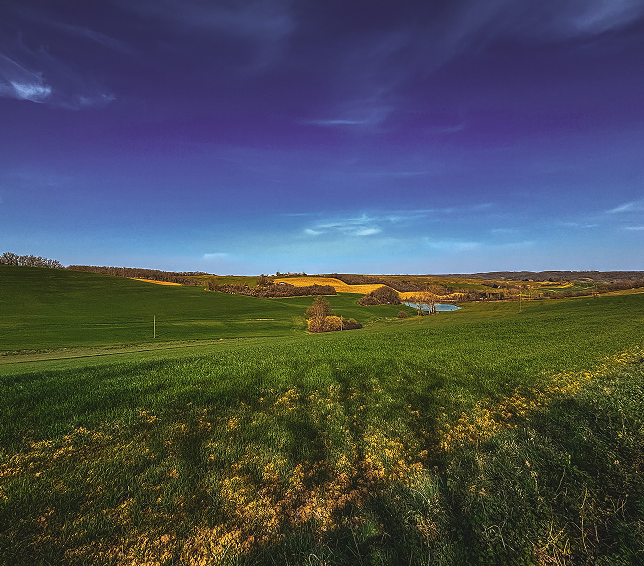 Campavil croquettes pour chien histoire ancrée dans le terroir
